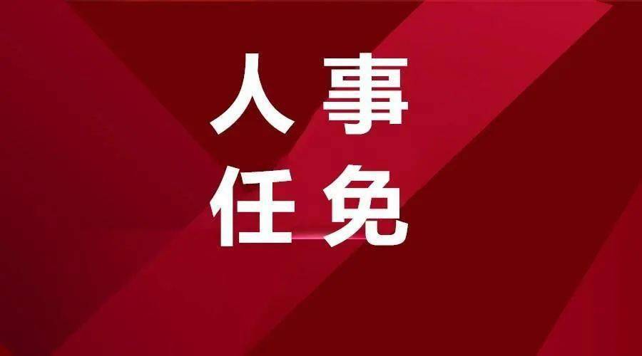 广元ddr 广元 DDR：狂热时代的青春激情与梦想追求  第5张