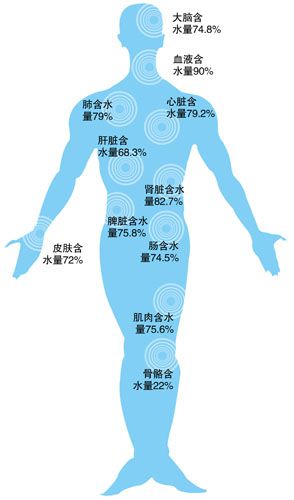 音响：生活中的重要组成部分，心灵旅行的纽带  第4张