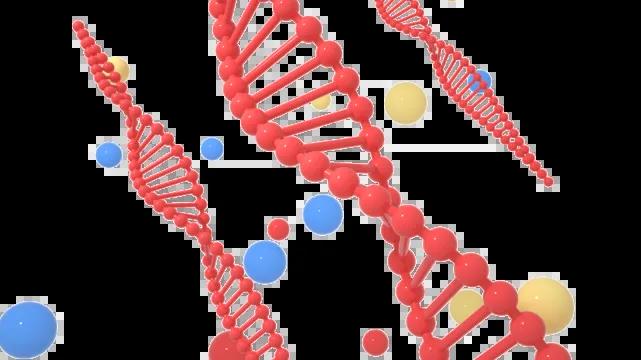 ddr婴儿 DDR 婴儿：基因编辑技术的突破与社会争议的焦点  第4张