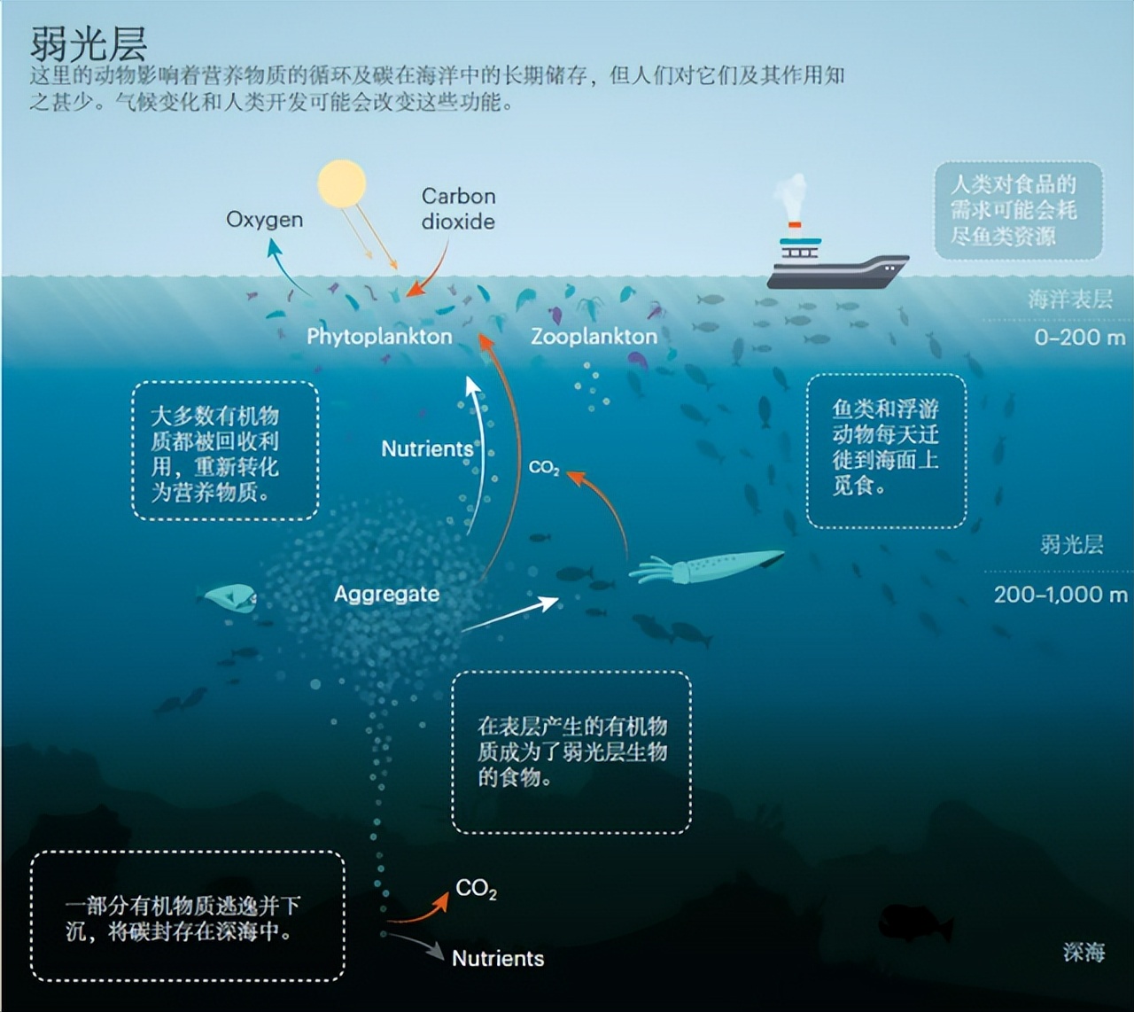 探索音频设备连接的奥秘，开启无与伦比的音乐之旅  第2张