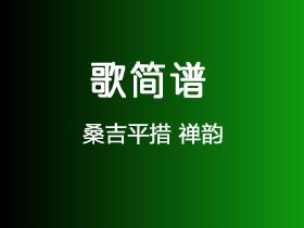 资深吉他手老张分享吉他音箱连接技巧，让你的音乐更流畅  第2张