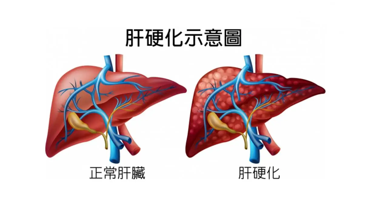 若安卓系统被禁，生活将变得不可想象，其退场可能性亦需探讨  第5张