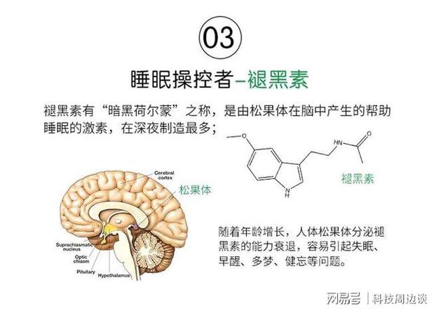 揭秘！厚被子竟能助你一夜好眠，不打针不吃药，只需这一招  第6张