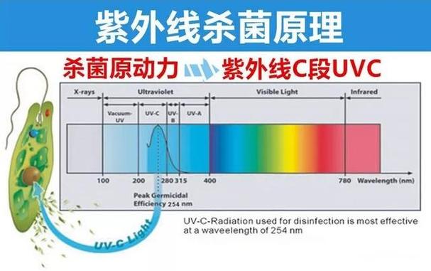 10年寿命一夜蒸发！紫光灯误操作引发车间地板变黄，专家警示：紫外线消毒灯使用需谨慎  第3张