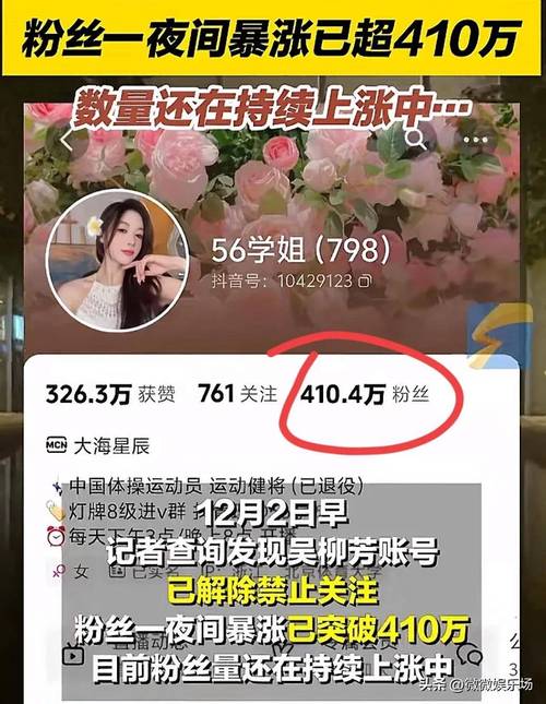 吴柳芳粉丝暴涨631万，抖音算法背后的真相究竟是什么？  第11张