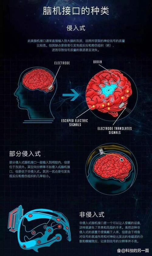 冬天越吃越胖的魔咒：揭秘大脑中的食欲控制秘密  第4张