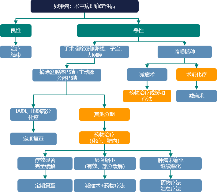 卵巢癌DDR：从定义到治疗，深度解析DNA损伤修复在卵巢癌中的作用  第7张