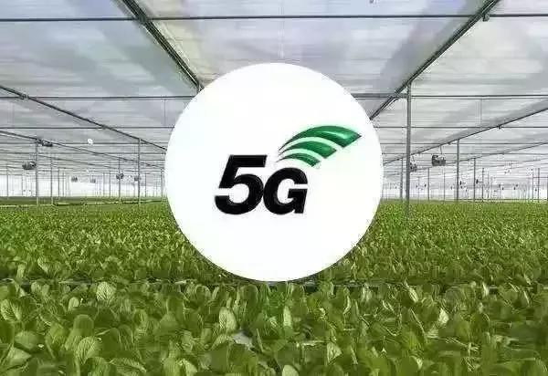 5G 网络——速度的魅力与未来生活的美好图景  第6张