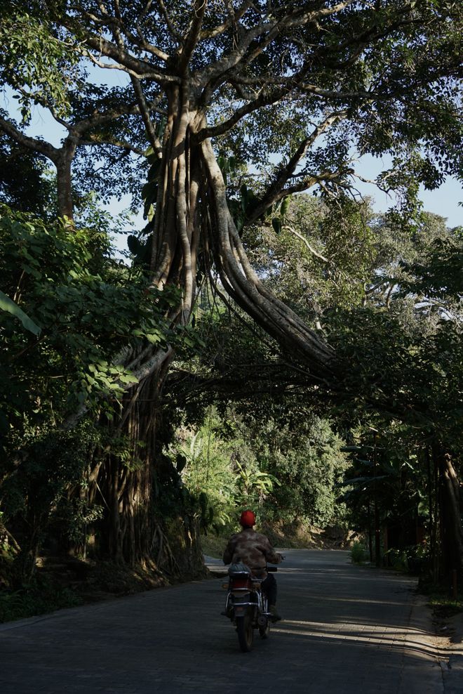 ddr云南 探索云南：壮丽自然景观与多元民族文化的魅力之旅  第3张