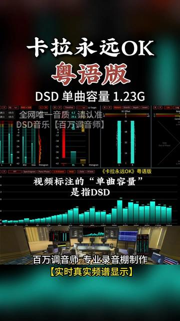 深入了解 DSD 与惠威音箱的融合，开启令人心潮澎湃的音乐之旅  第5张