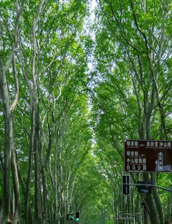 探索光纤接口音响：深度研究与个人感悟，实现更卓越的音乐体验  第4张