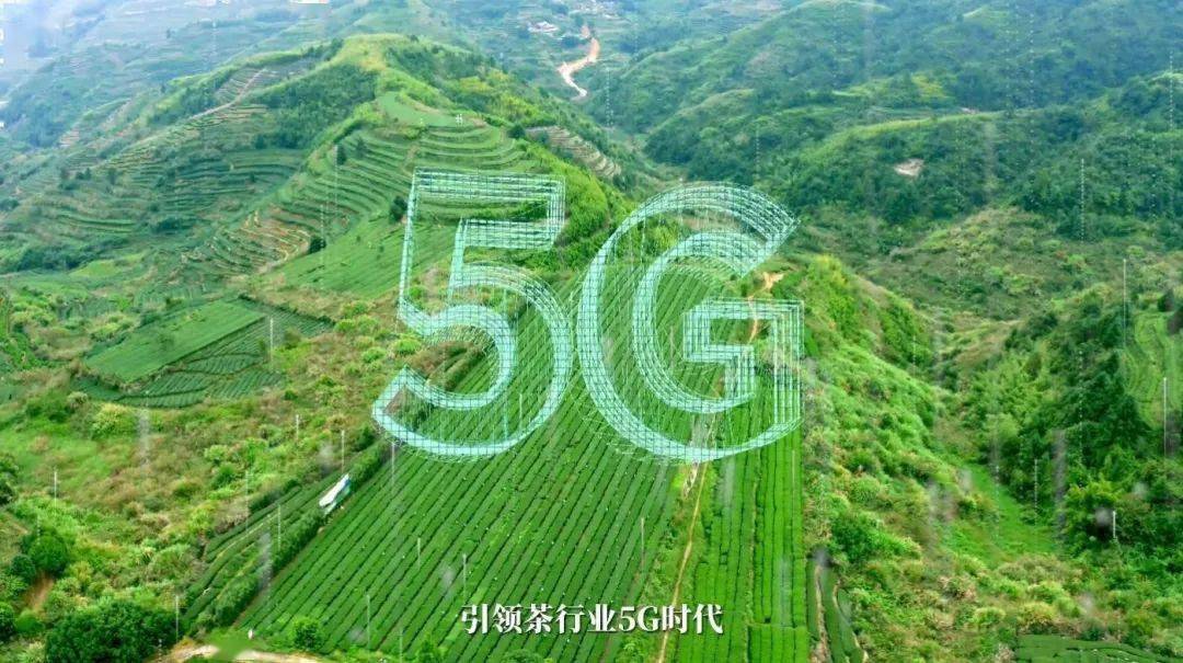 5G 网络视频技术：鹤城智能化生活的引领者  第1张