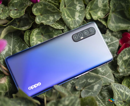 OPPO 5G 手机：性能与设计的完美融合，为你带来全新体验