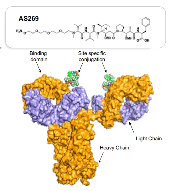 adc ddr 探秘现代科技核心技术：ADC 与 DDR 的重要性及在生活中的角色  第7张