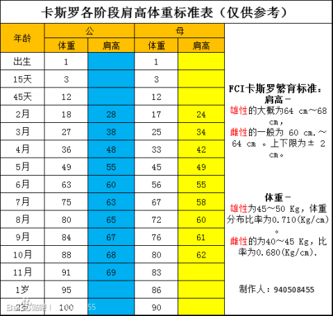 ddr猛犬 DDR 猛犬：忠诚伴侣与勇敢守卫，起源发展与独特魅力解析  第7张