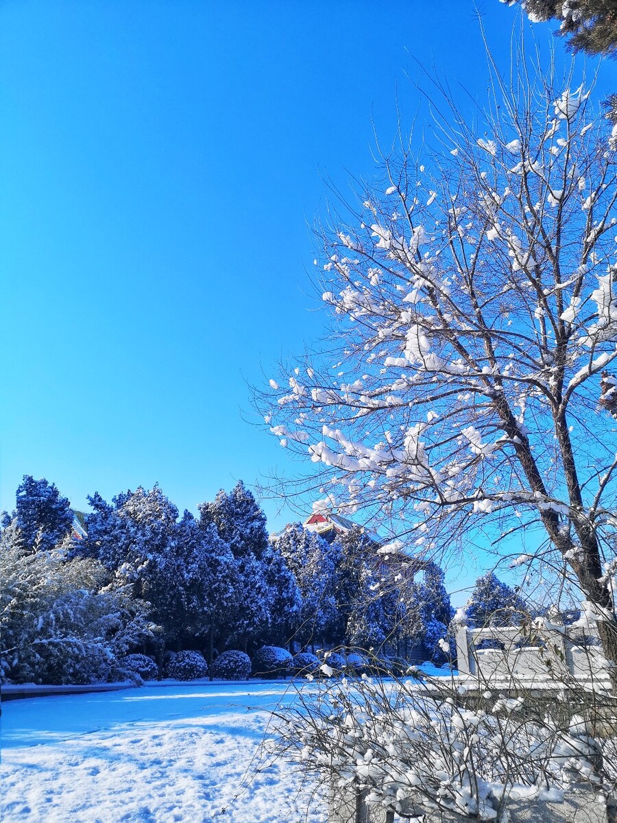 吹雪ddr 吹雪 DDR：严寒冬日中燃烧的热情，青春岁月的见证  第3张