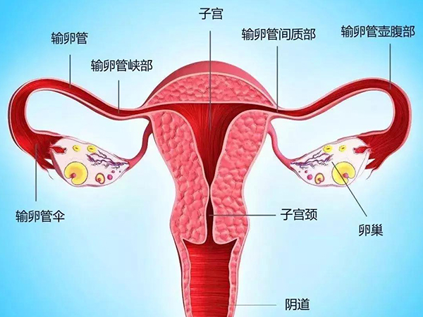 追求极致音质的消费者如何连接卫星音箱？详解步骤助您轻松实现音质飞跃  第6张