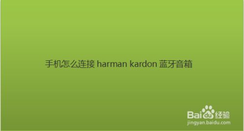 Bio 音箱蓝牙连接攻略：步骤、问题与解决方法全解析  第4张