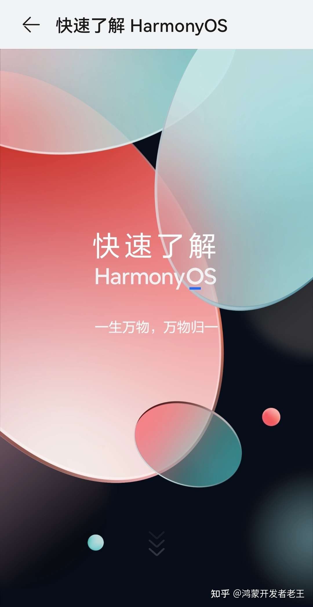 HarmonyOS 与 Android：主流操作系统阵营的利弊剖析  第4张