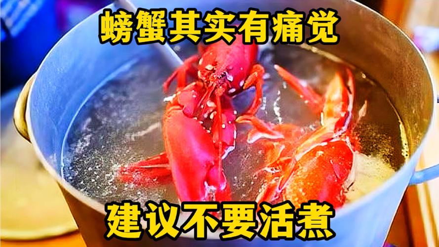 科学家实验证明：活蟹蒸着吃竟如此残忍，螃蟹也会痛