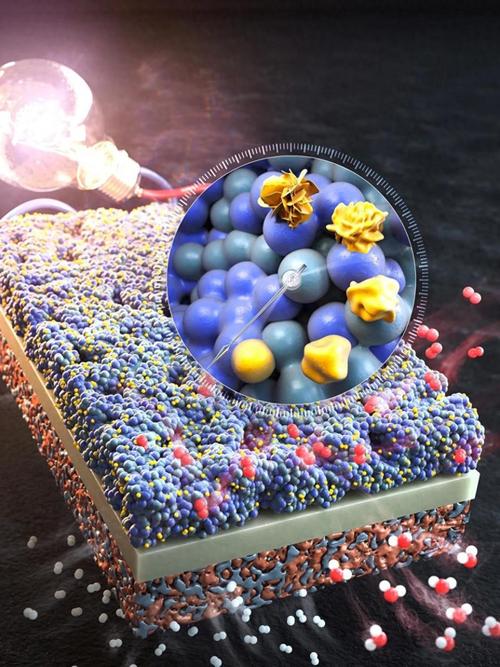 中国科学家用AI破解50年未解之谜，催化剂领域迎来革命性突破  第11张