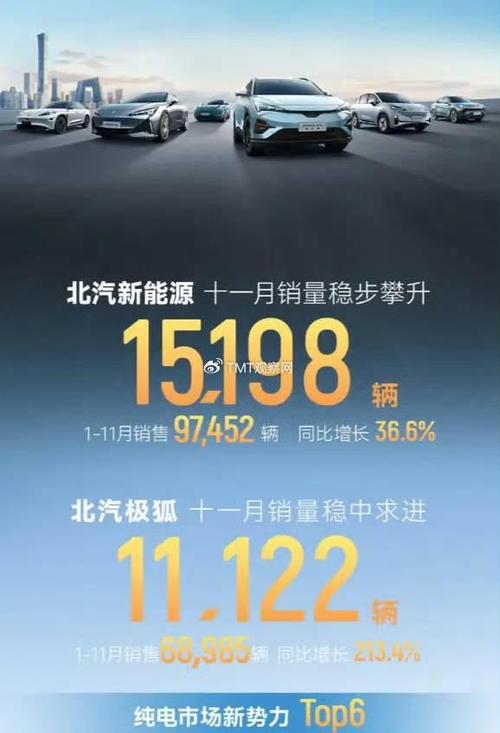 2024年11月中国汽车品牌销量大揭秘：比亚迪稳居榜首，新势力品牌异军突起  第4张