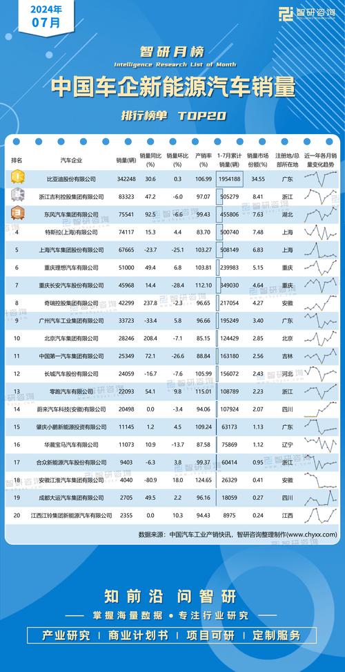 2024年11月中国汽车品牌销量大揭秘：比亚迪稳居榜首，新势力品牌异军突起  第5张