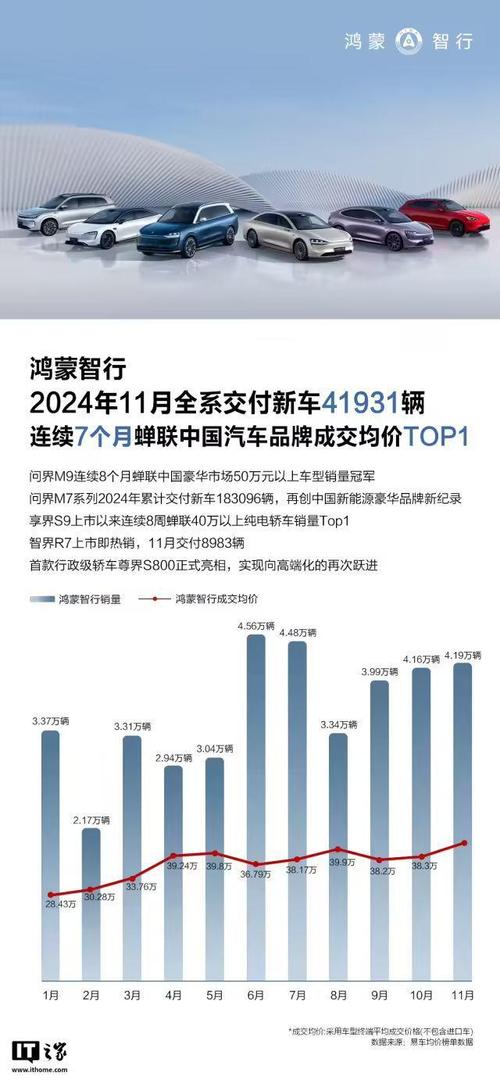 2024年11月中国汽车品牌销量大揭秘：比亚迪稳居榜首，新势力品牌异军突起  第10张