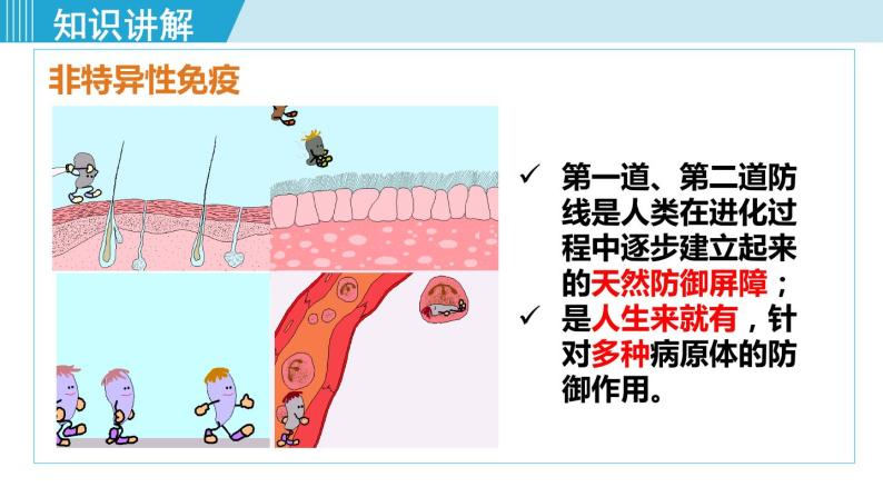 多特瑞DDR：神奇疗效揭秘，提升免疫力、改善睡眠质量  第4张