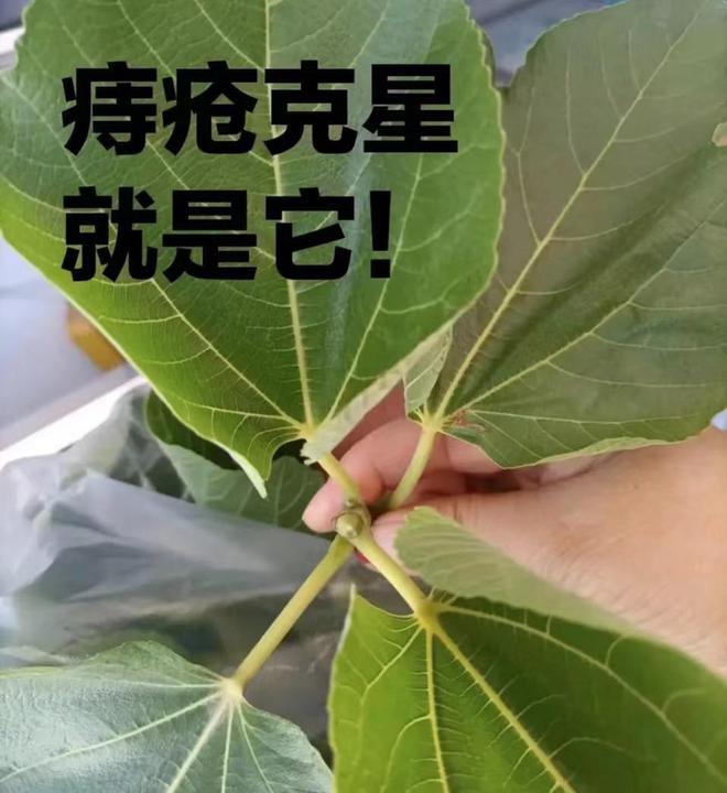 科技爱好者必读：小爱音箱网络连接指南，实用经验分享  第4张