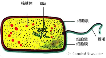 深入探讨 DDR3 地址范围：高性能内存条的关键奥秘  第3张