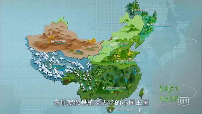 吉他音箱接口的奥秘：种类、选择与音乐之旅的影响  第4张