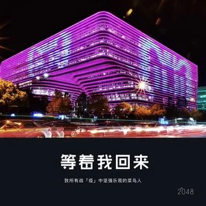 京东音响与功放的完美连接：提升音乐品质的关键步骤  第10张