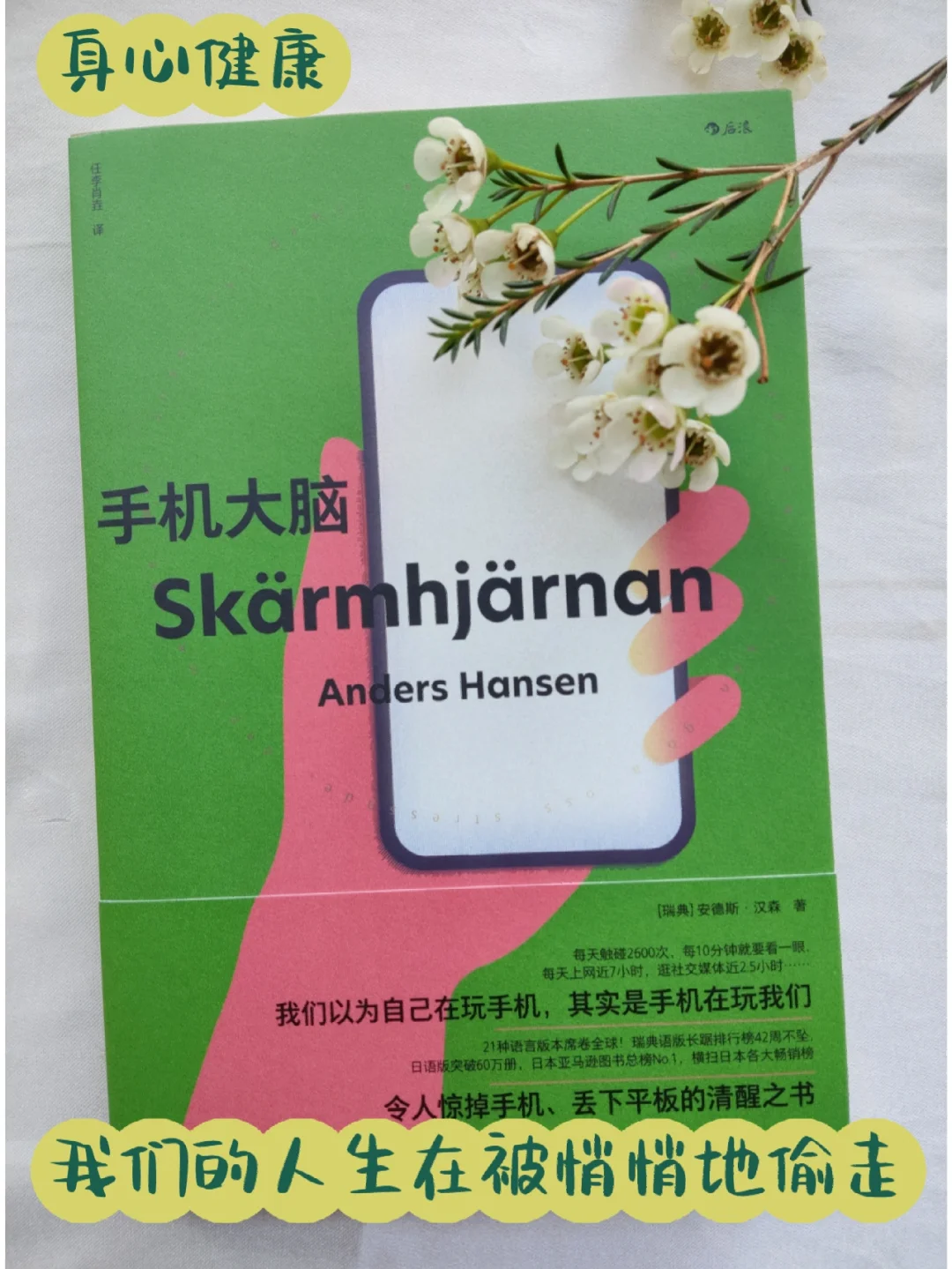 掌握重装安卓操作系统之法，轻松摆脱手机故障困境  第2张