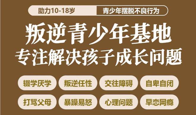 安卓防沉迷系统：助力青少年摆脱手机依赖，守护身心健康  第10张