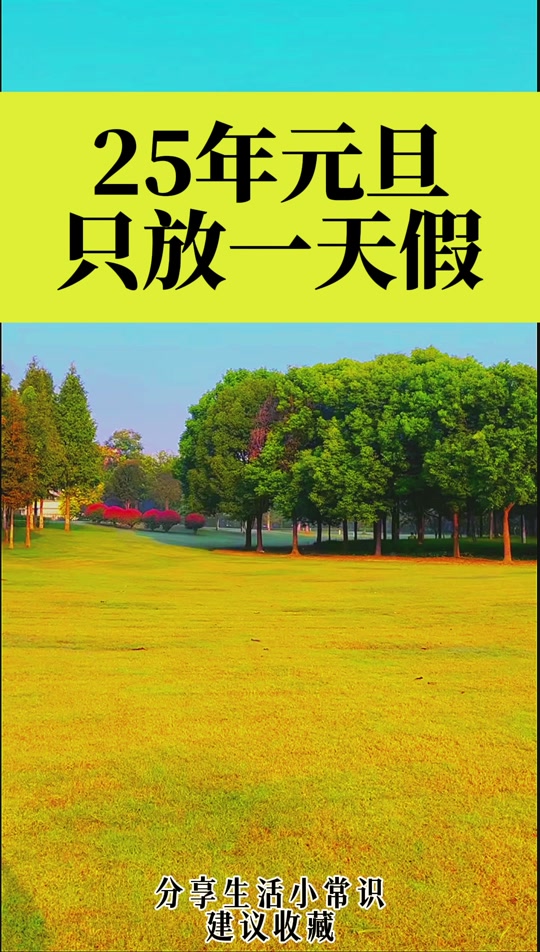 2025 年起放假办法大改！除夕纳入法定节假日，假期总量增加，你怎么看？  第6张