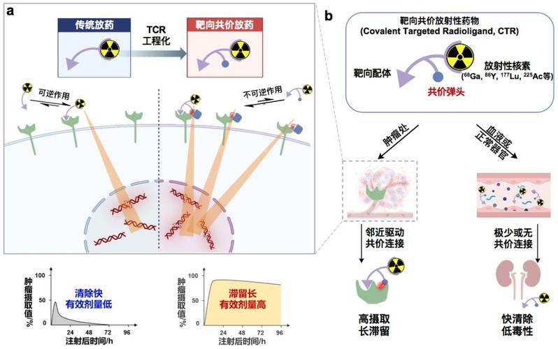 南华大学团队突破性发现，从稀土矿中提取高效抗癌同位素，癌症治疗迎来新曙光  第4张