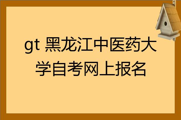 GT740M 显卡：游戏体验与选购心得，由学至职的成长见证  第7张