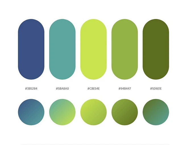 安卓系统颜色设定：打造个性化配色方案，让手机界面焕发新活力  第3张