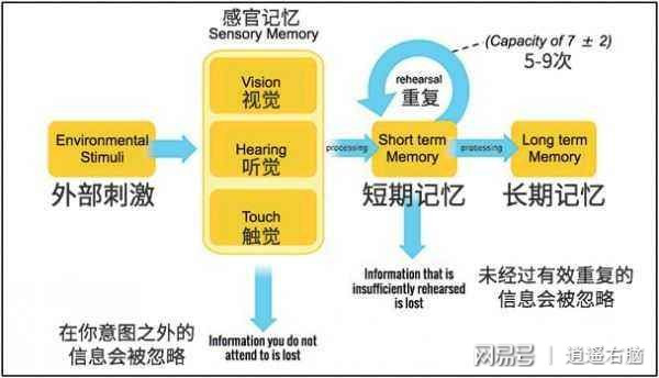 安卓系统返回箭头：数字环境中的明灯，承载丰富情感与记忆  第2张