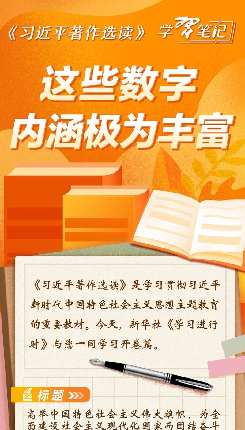 安卓手机系统使用率剖析：背后的故事与情感内涵