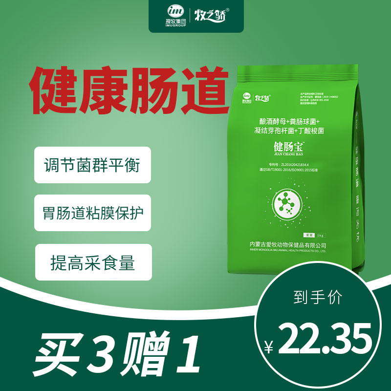 G31 主板与 GT750 显卡的完美结合：性能与预算的平衡之道  第6张