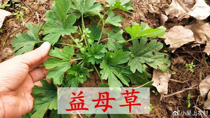 18 岁小伙骑行 5 小时后睾丸扭转 360 度，医生：已错过最佳治疗时机  第4张