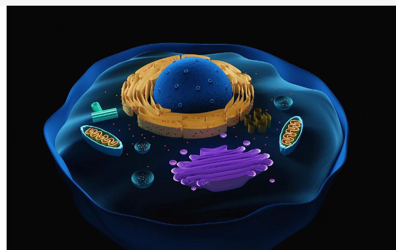 中国科学家发现16.3亿年前多细胞真核生物化石，科学界沸腾了