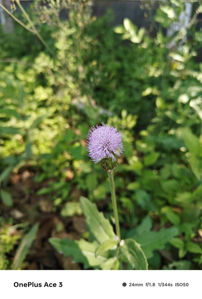 铭瑄GT240显卡黑屏解决策略：深夜游戏突遭黑暗，如何应对硬件故障？  第2张