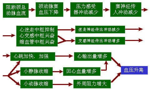 深度探析DDR同步与异步特性及其应用影响：理论与实践结合分析  第8张