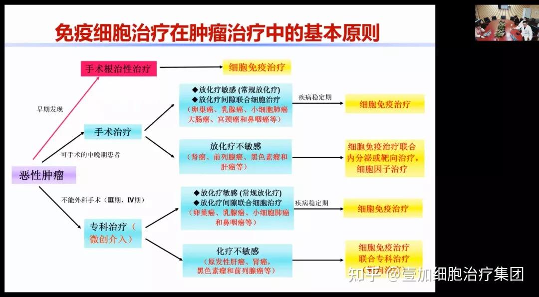 探索DDR靶点在肿瘤治疗中的前沿应用及独到见解  第3张