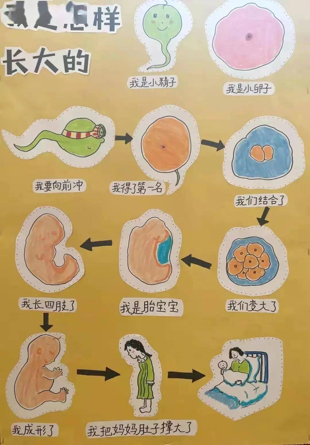 解读5G技术：超快速率、极短延迟，引发普通消费者的探究欲望  第6张