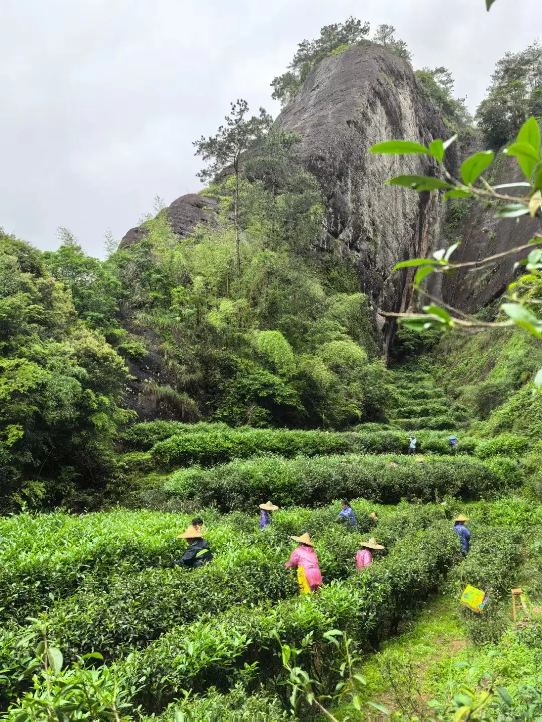 探索落地音箱分频器连接方式，提升音质的关键步骤与经验分享  第9张