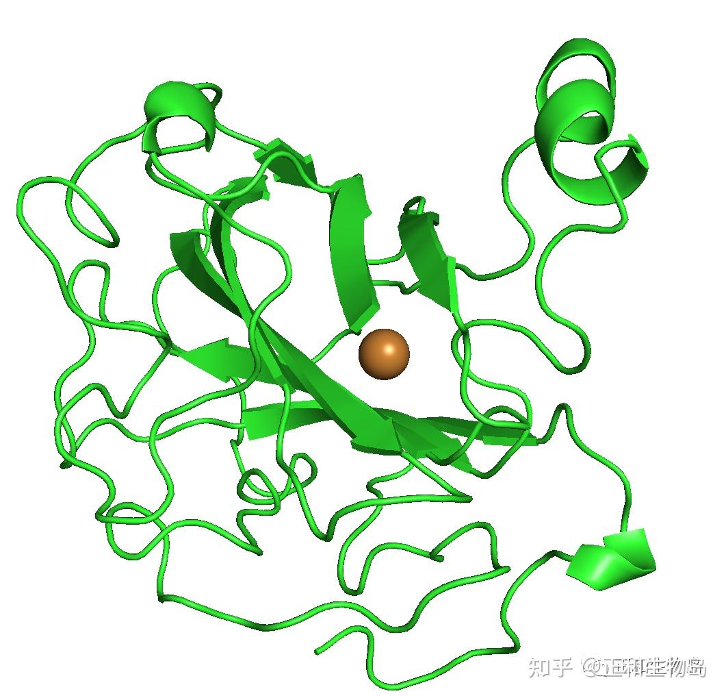 DDR1酪氨酸激酶 深入探索 DDR1 酪氨酸激酶：生命科学研究的关键分子与疾病关系  第8张